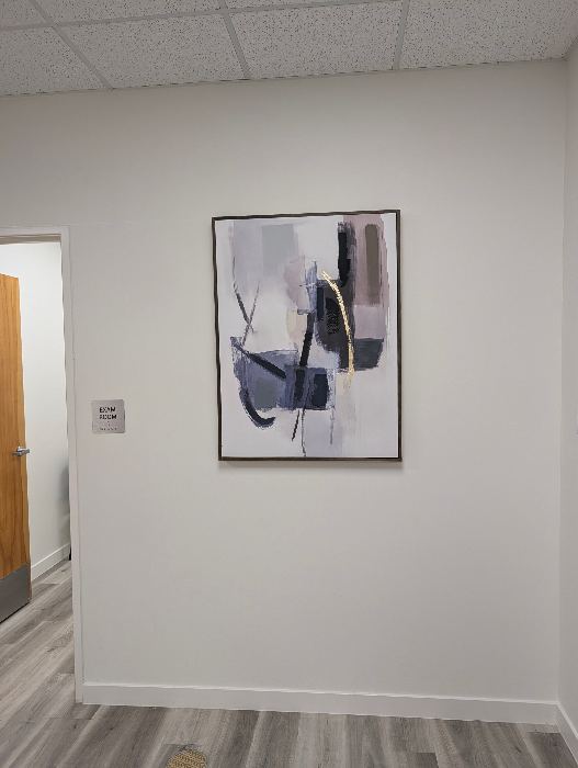 Framed Abstract Wall Art