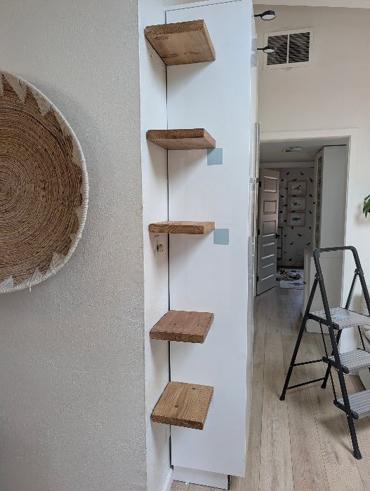 Wall-Mounted Cat Shelves