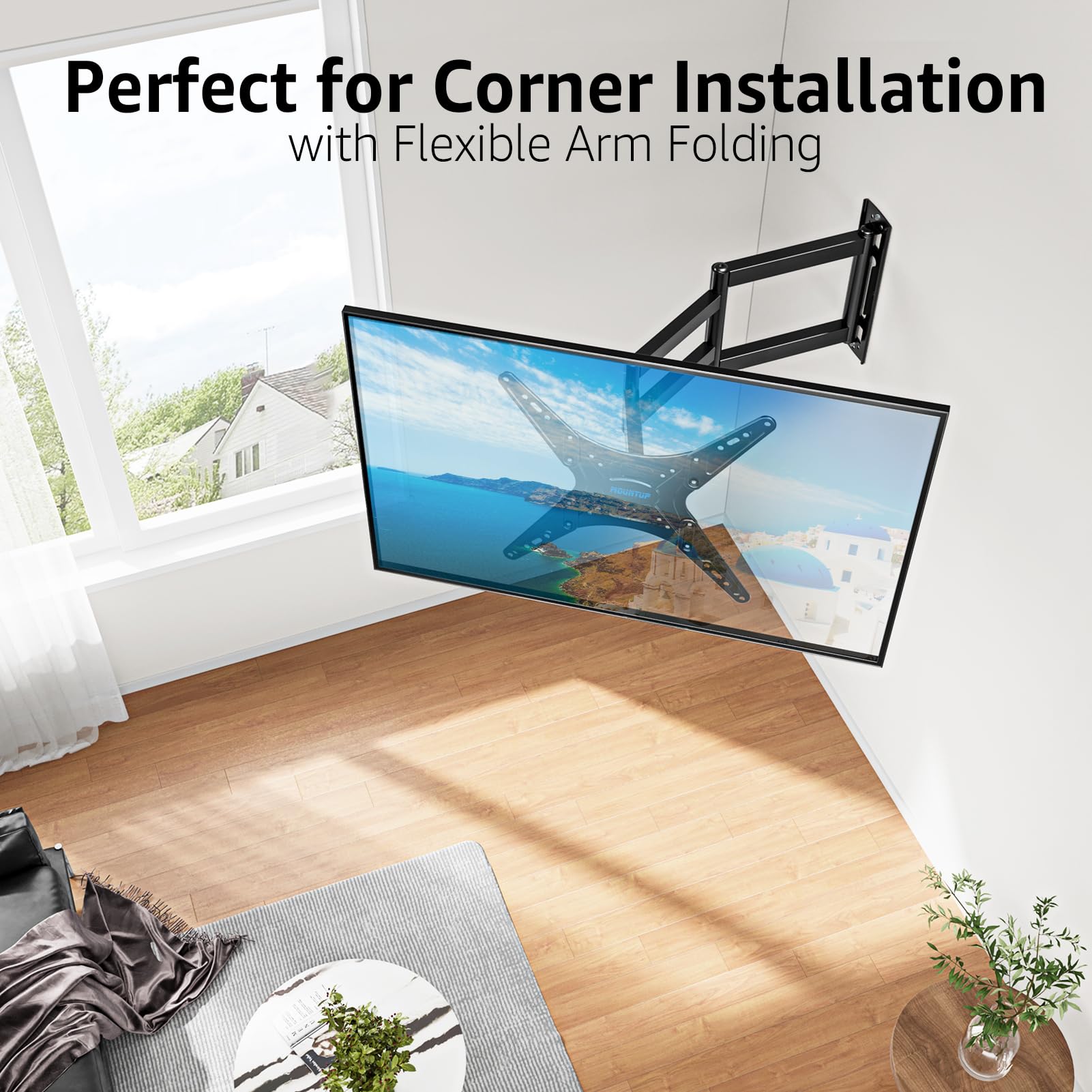 Full-Motion Mount